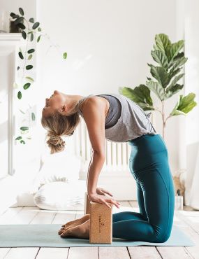 Premium Cork Yoga Blocks - Pair of 2 Eco-Friendly Yoga Bricks for Stability & Support | Ideal for Yoga, Pilates & Meditation at Home or Studio