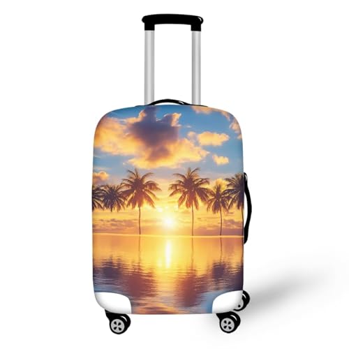F Beach Tropical Palm Tree