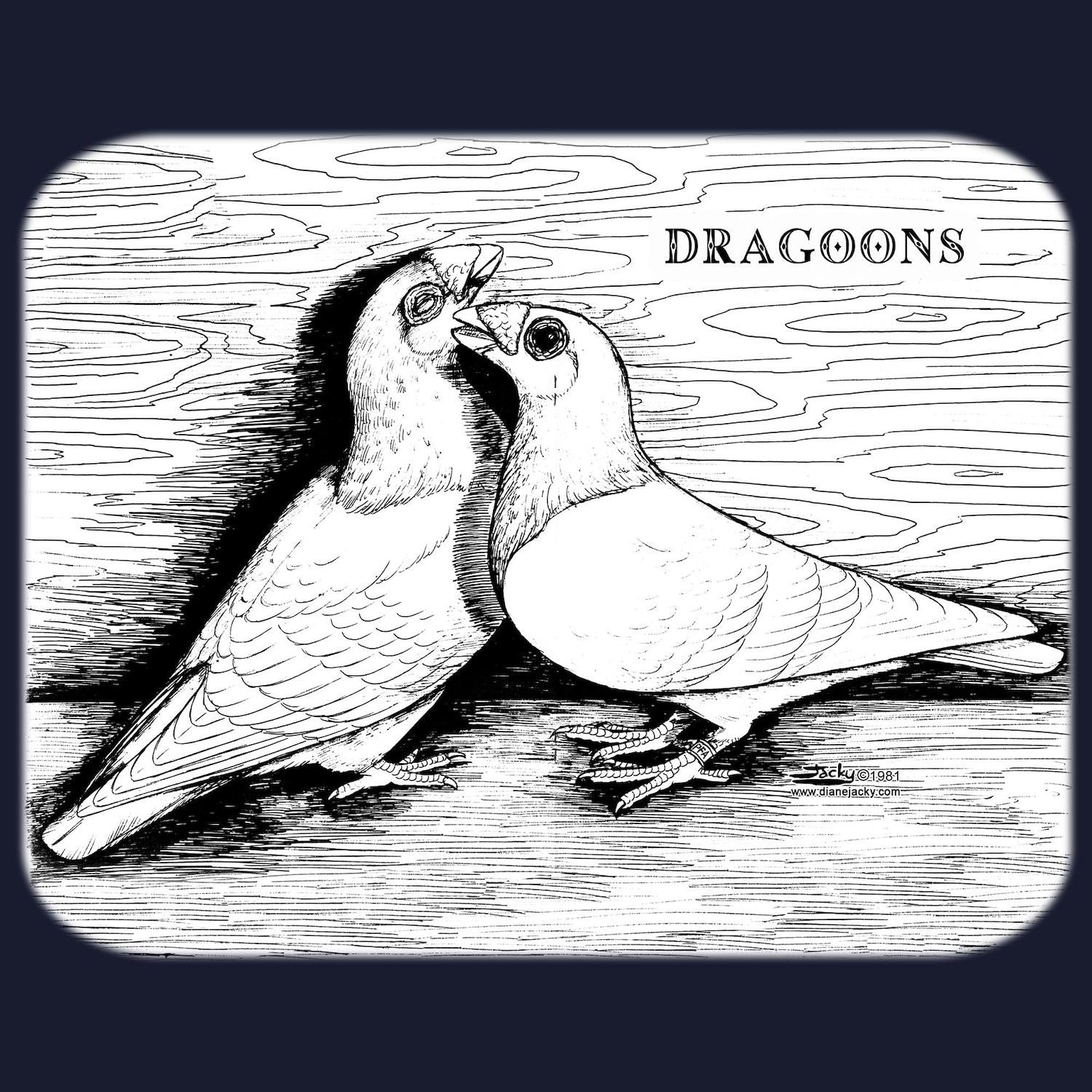 Dragoon Pigeons Zip Hoodie for Men - Dark Zip-Up Hooded Sweatshirt | Casual Streetwear & Gaming Apparel