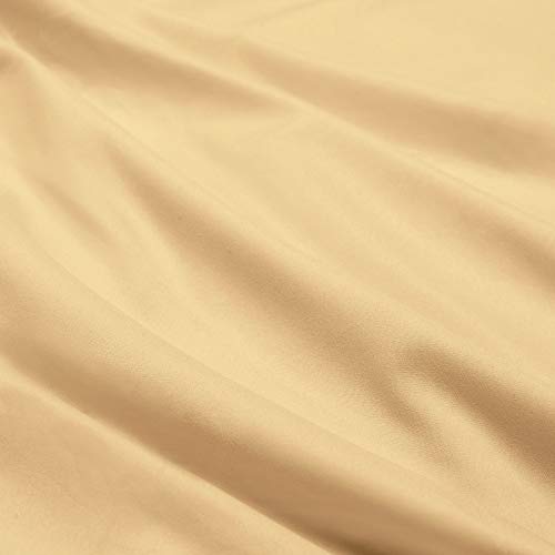 Camel Gold
