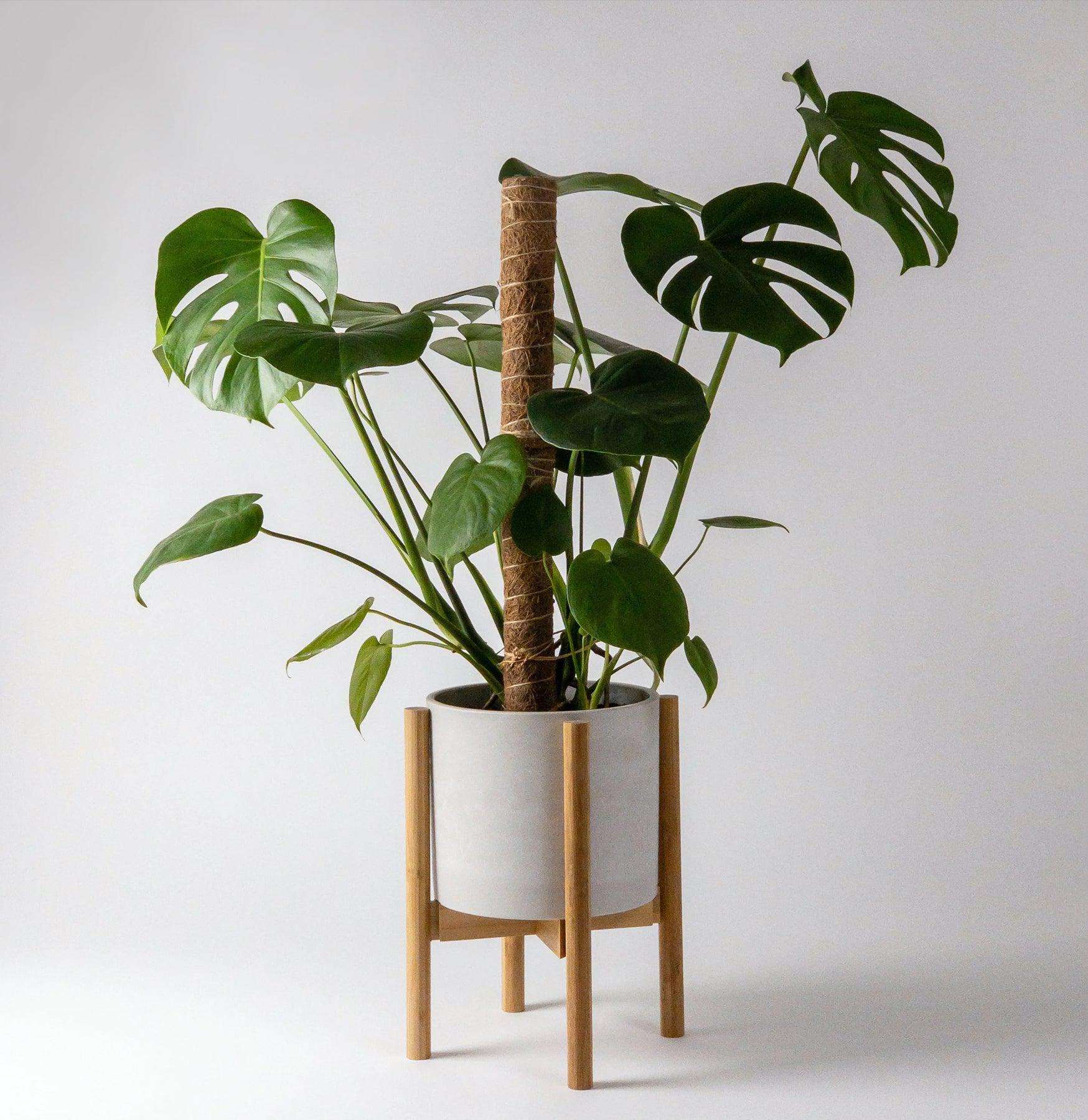 Adjustable Bamboo Plant Stand - Indoor/Outdoor Multi-Tier Shelf for Succulents, Flowers & Herbs - Perfect for Home, Garden, and Patio Decor