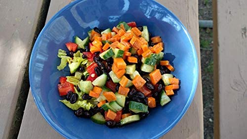 Organic Black Beans 25lb Bulk - Vegan, for Soups, Salads & Chili