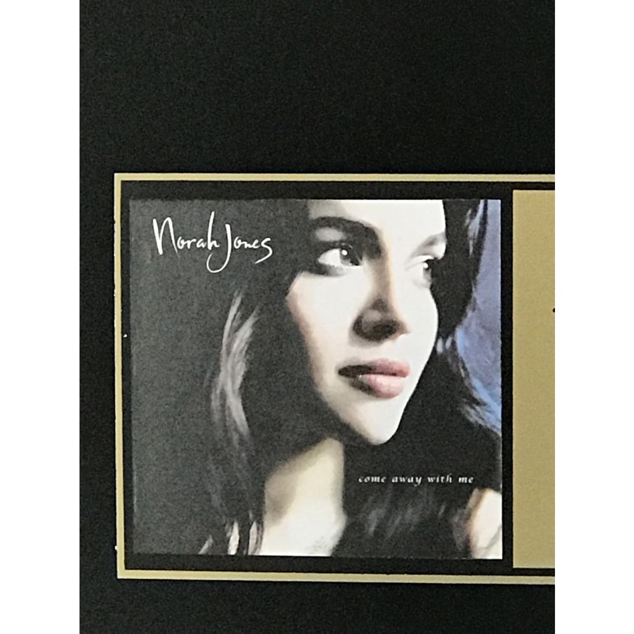Norah Jones 