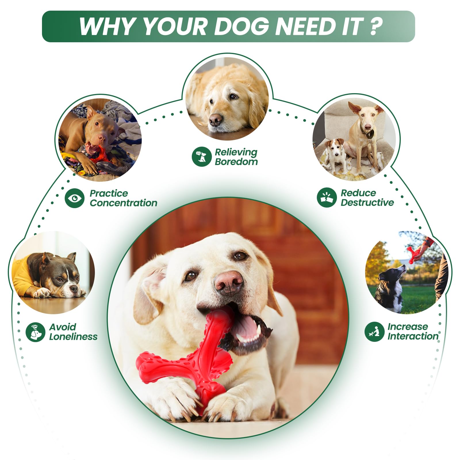 Durable Indestructible Dog Chew Toys for Aggressive Chewers - Large Breed Natural Rubber Bones with Teeth Cleaning | Perfect for Strong Chewers & Dental Health