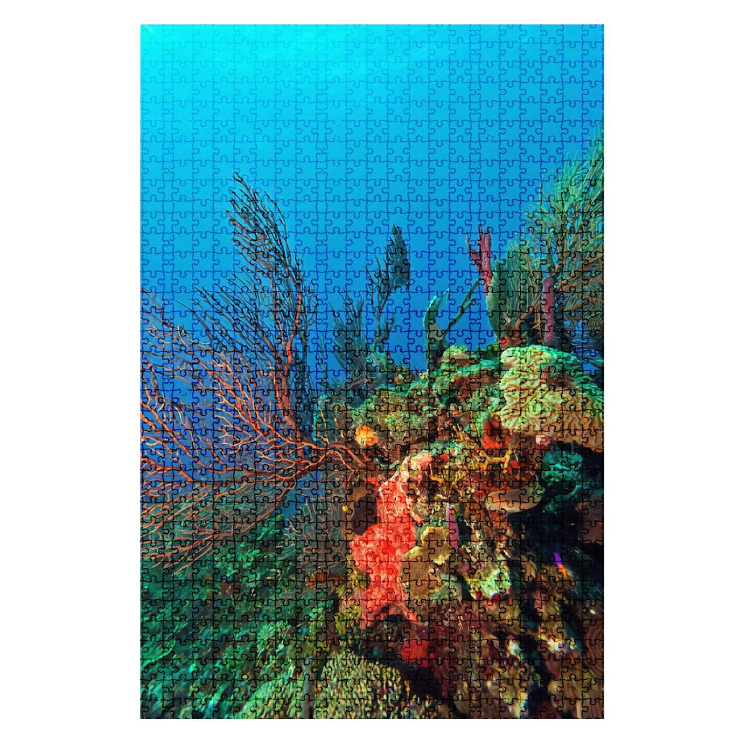 1000-Piece Wooden Jigsaw Puzzle - Vibrant Coral Reef & Tropical Island Scenery - Challenging Adult Puzzle Game with Royalty-Free Art - Educational DIY Toy for Family Fun & Home Decor (Perfect for Relaxation, Stress Relief & Cognitive Training)