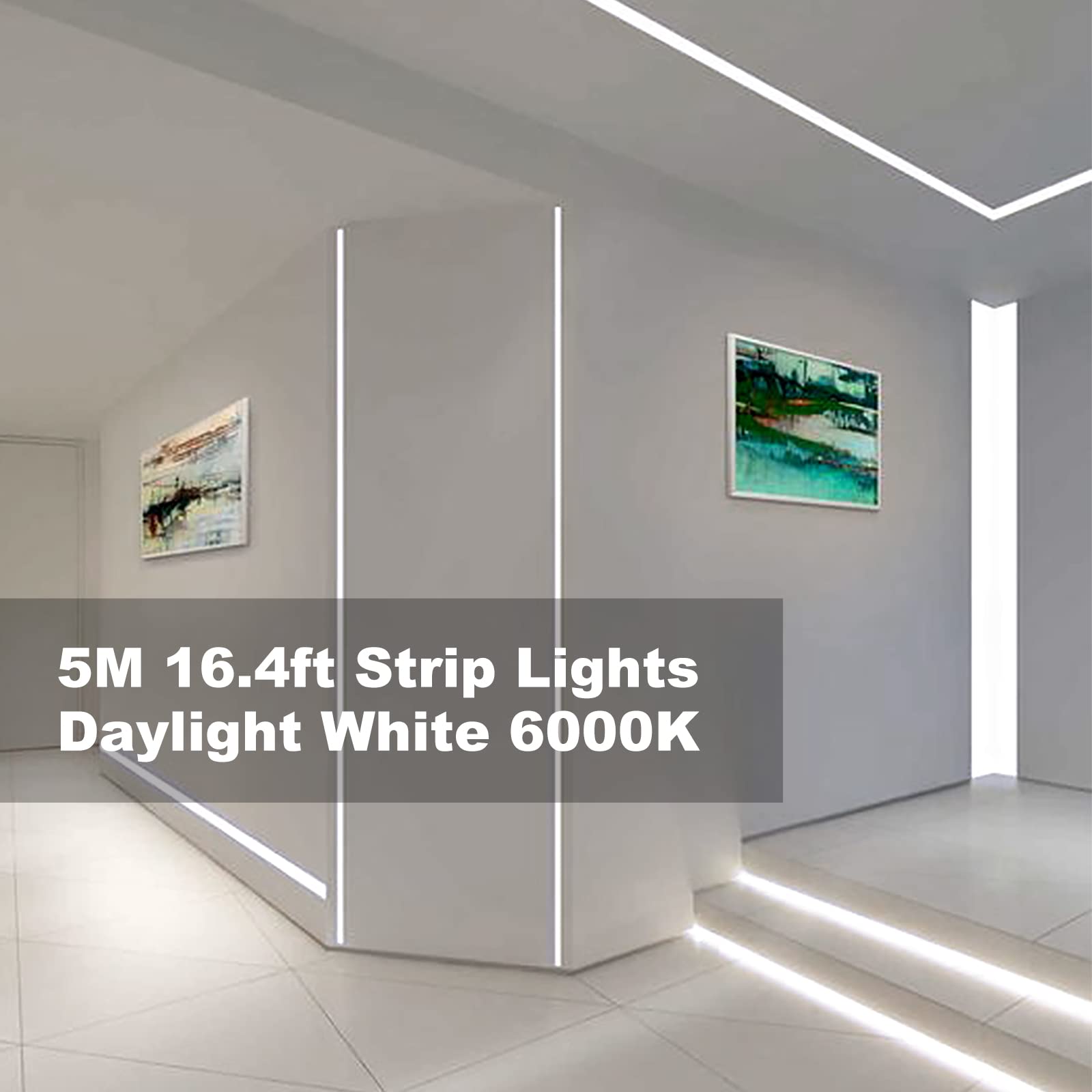 KOPMHYE 5M Dimmable LED Strip Lights Kit - 12V Flexible Tape Light with 300 2835 LEDs, 16.4ft 6000K Daylight White Ribbon & Power Adapter - Perfect for Under Bed Lighting, Vanity Mirror, Cabinet, Home Decor (Non-Waterproof)