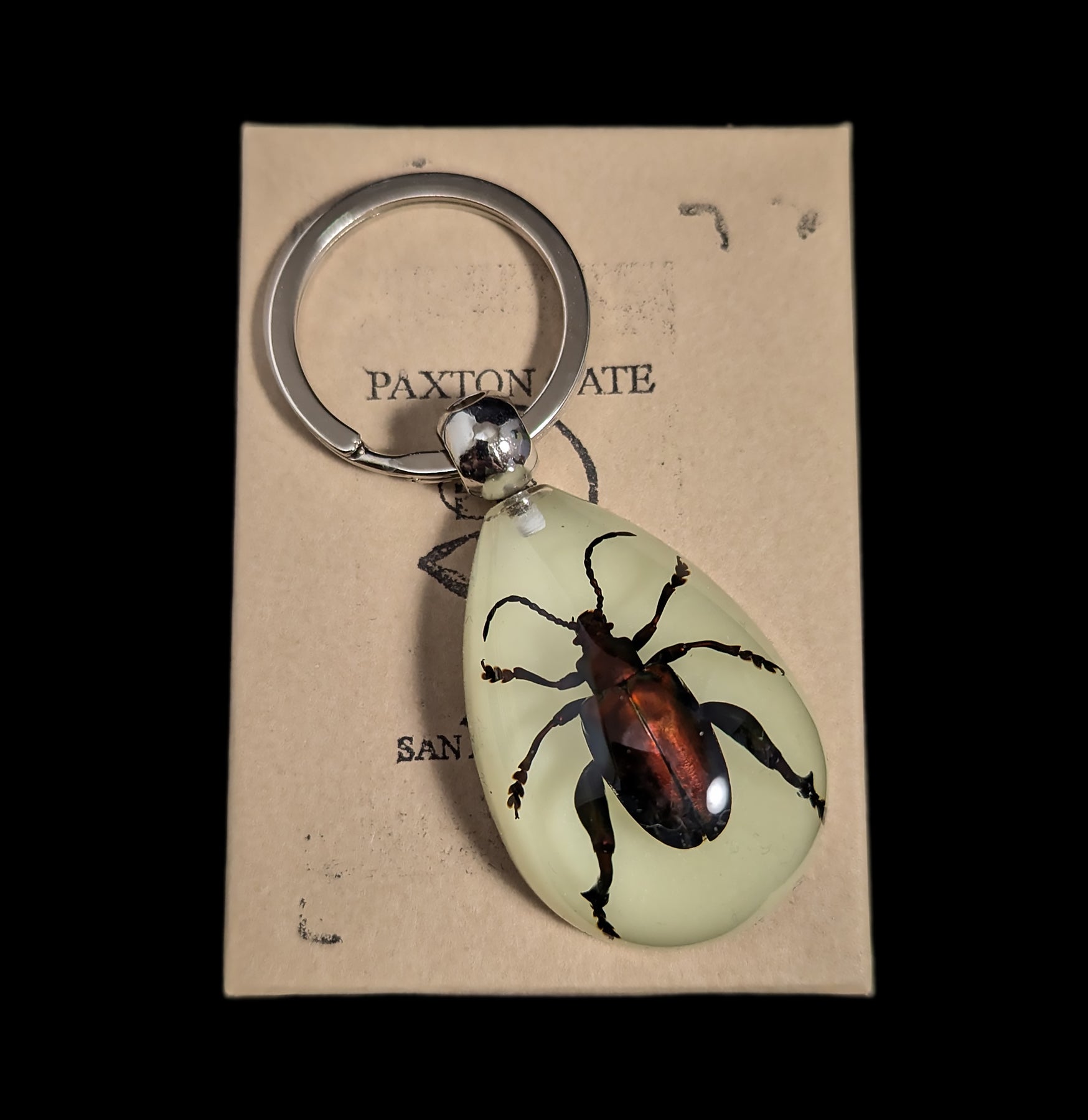 Stylish Jewel Frog Beetle Keychain - Unique Animal-Themed Accessory for Backpacks, Gifts & Everyday Use