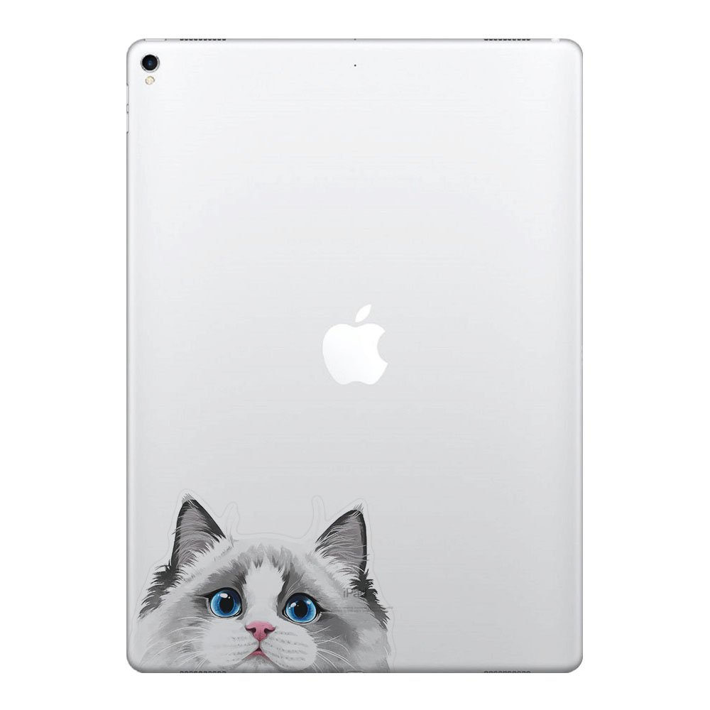 5 x 5 Inch White Silver Point Ragdoll Cat Vinyl Decal Stickers - Removable Laptop Decals for MacBook, iPad, Phone, Car, Window | Cute Pet Decor, DIY Stickers for Flat Surfaces
