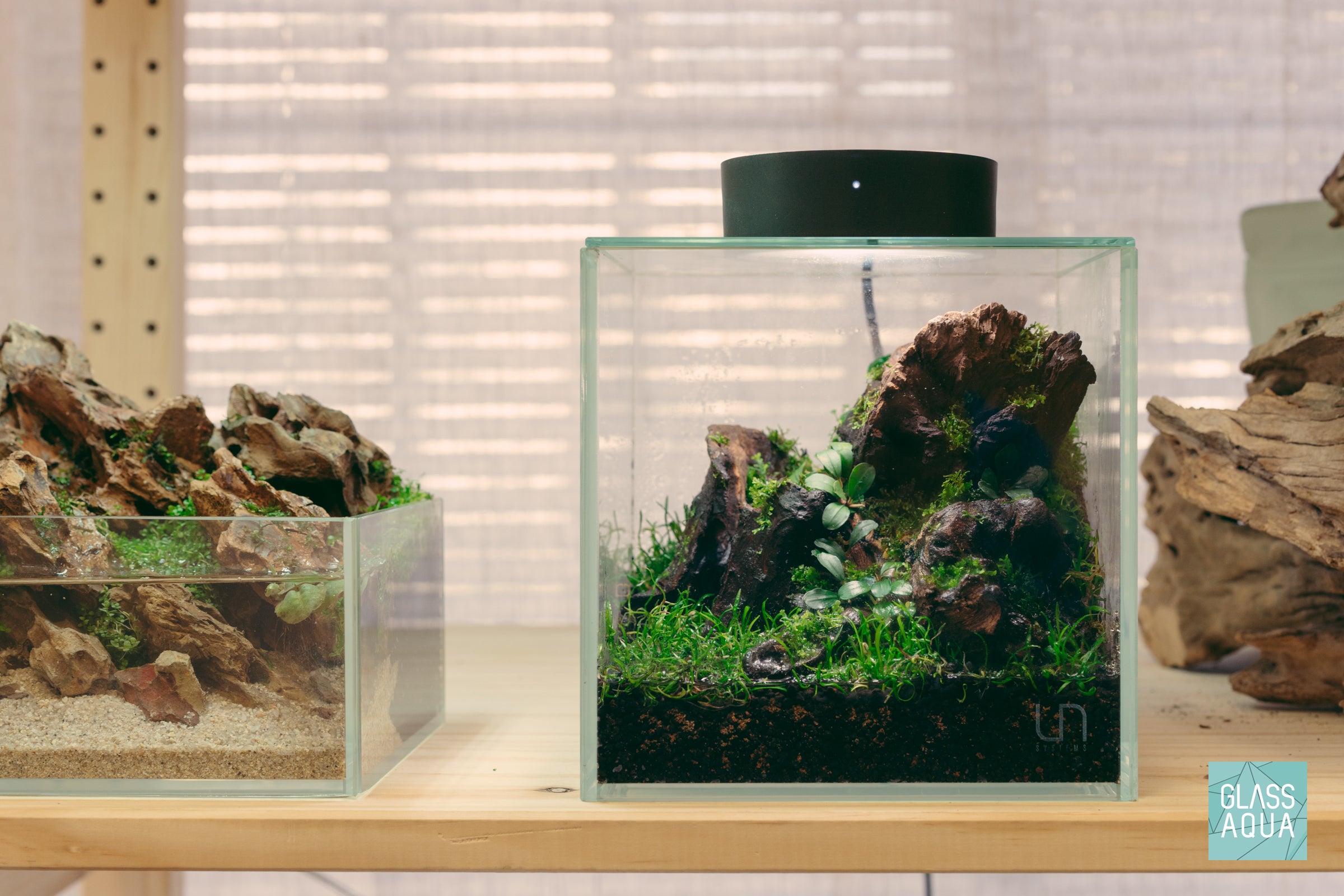 Natural Malaysian Driftwood Stump for Aquarium Decor - Perfect for Fish Tanks, Terrariums & Home Decoration