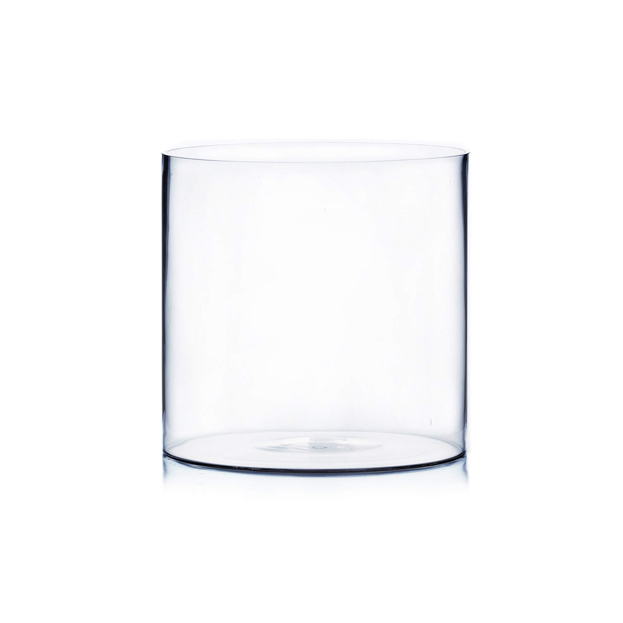 WGV Clear Glass Cylinder Vase - 12