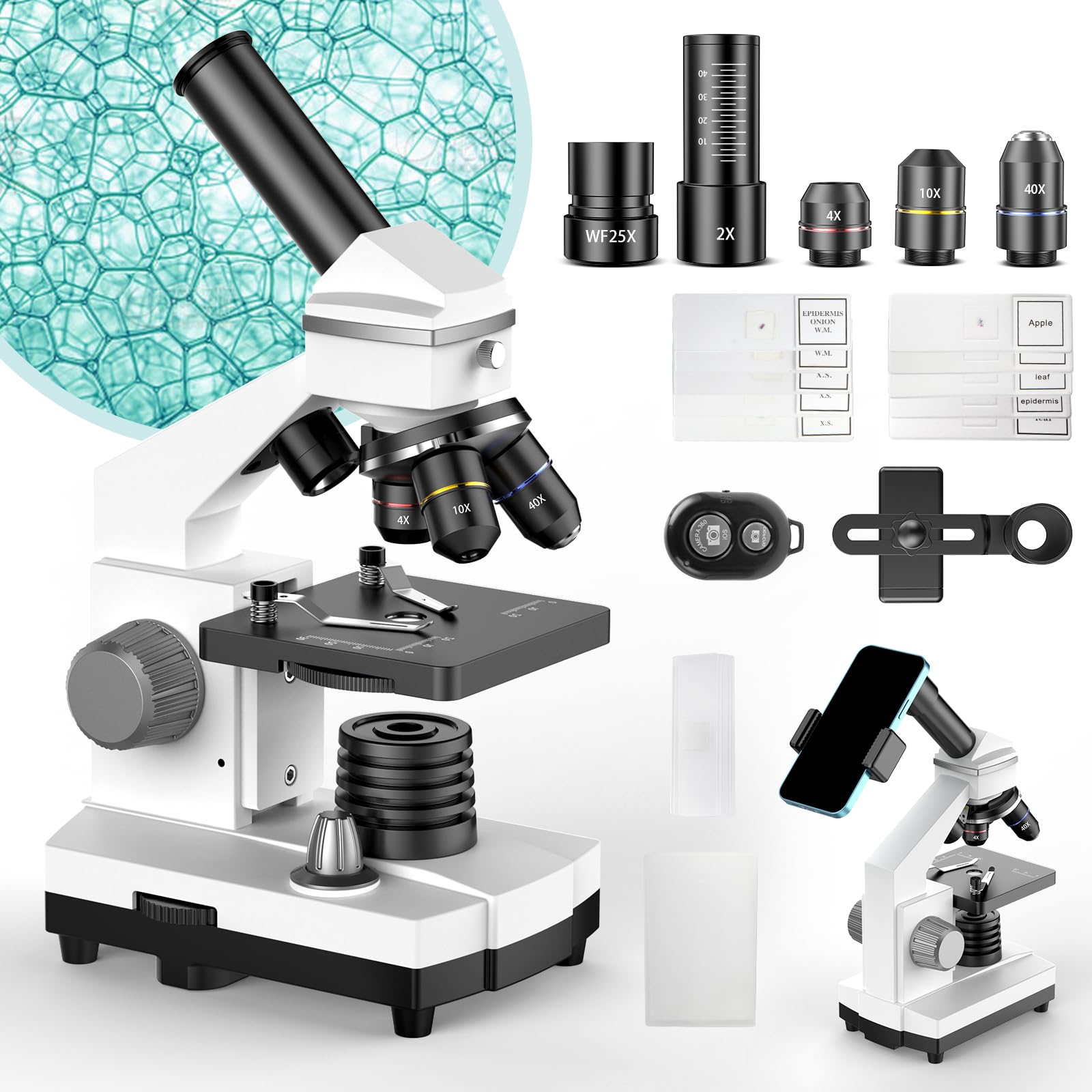 Professional Compound Microscope for Adults, Kids & Students - 2000X Magnification with Phone Adapter & Slides Set | Perfect for Home Lab, School Science Projects & STEM Learning (Gray White)