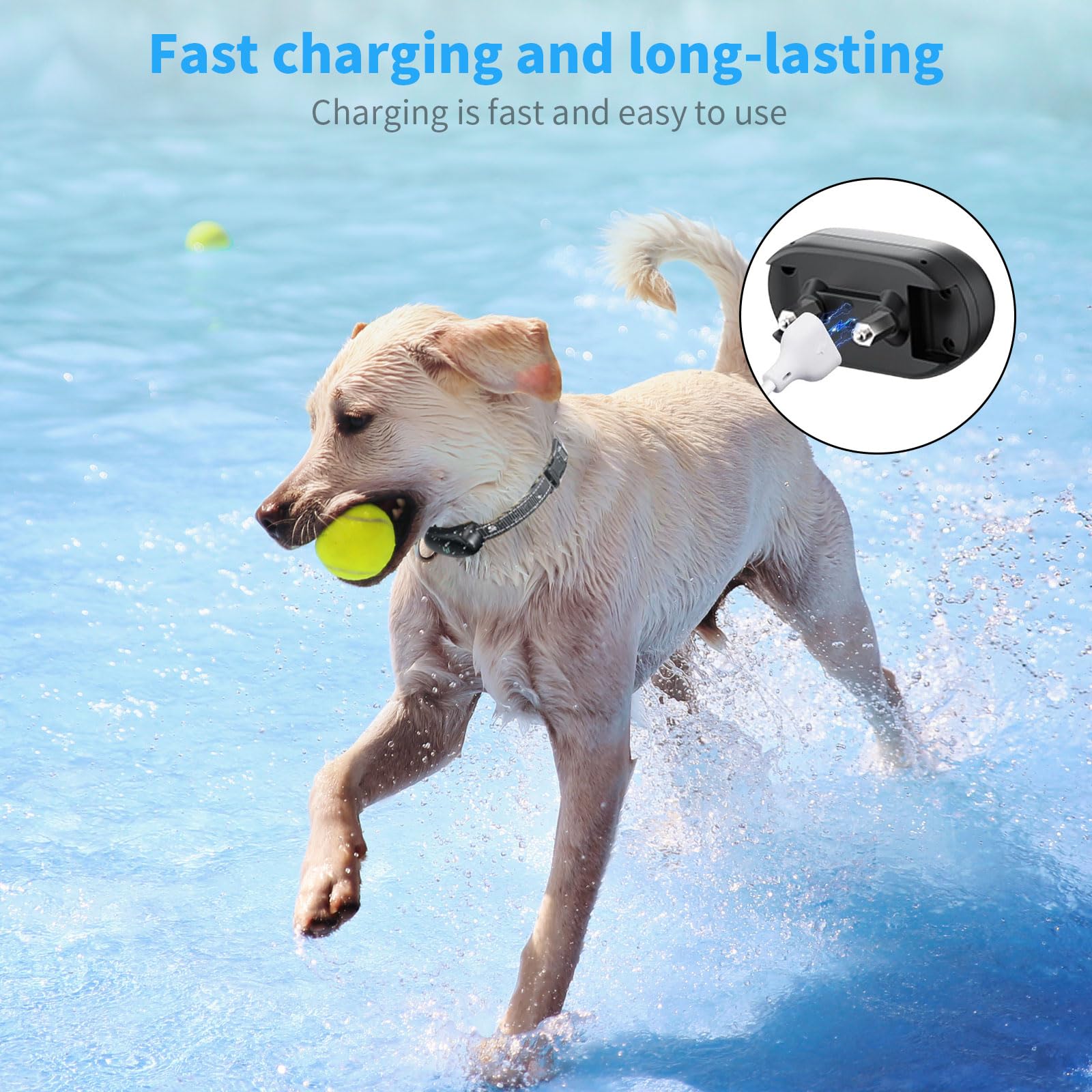 MEROM Replacement Charger for Delupet & Yawpet Dog Training Collars - 2-in-1 Magnetic & Micro USB Charging Cable (White) | Perfect for Shock Collar Power Supply & Outdoor Dog Training Accessories