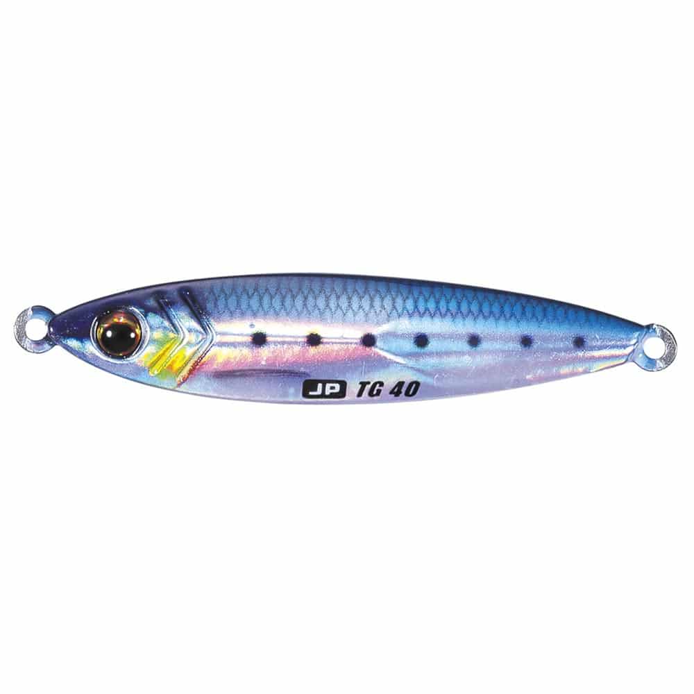 Live Iwashi ~ Sardine