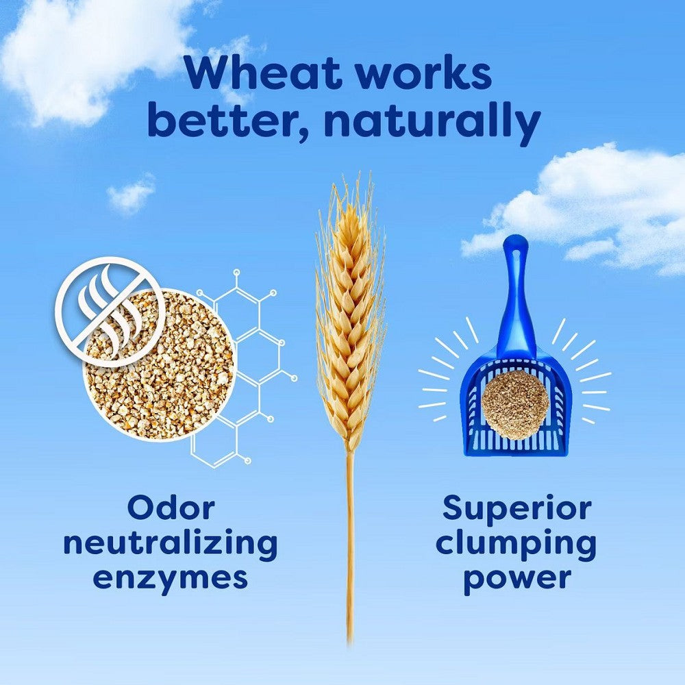 Original sWheat Scoop Cat Litter - Natural Wheat-Based Clumping Litter for Odor Control | Eco-Friendly & Low Dust | Perfect for Multi-Cat Homes & Small Spaces
