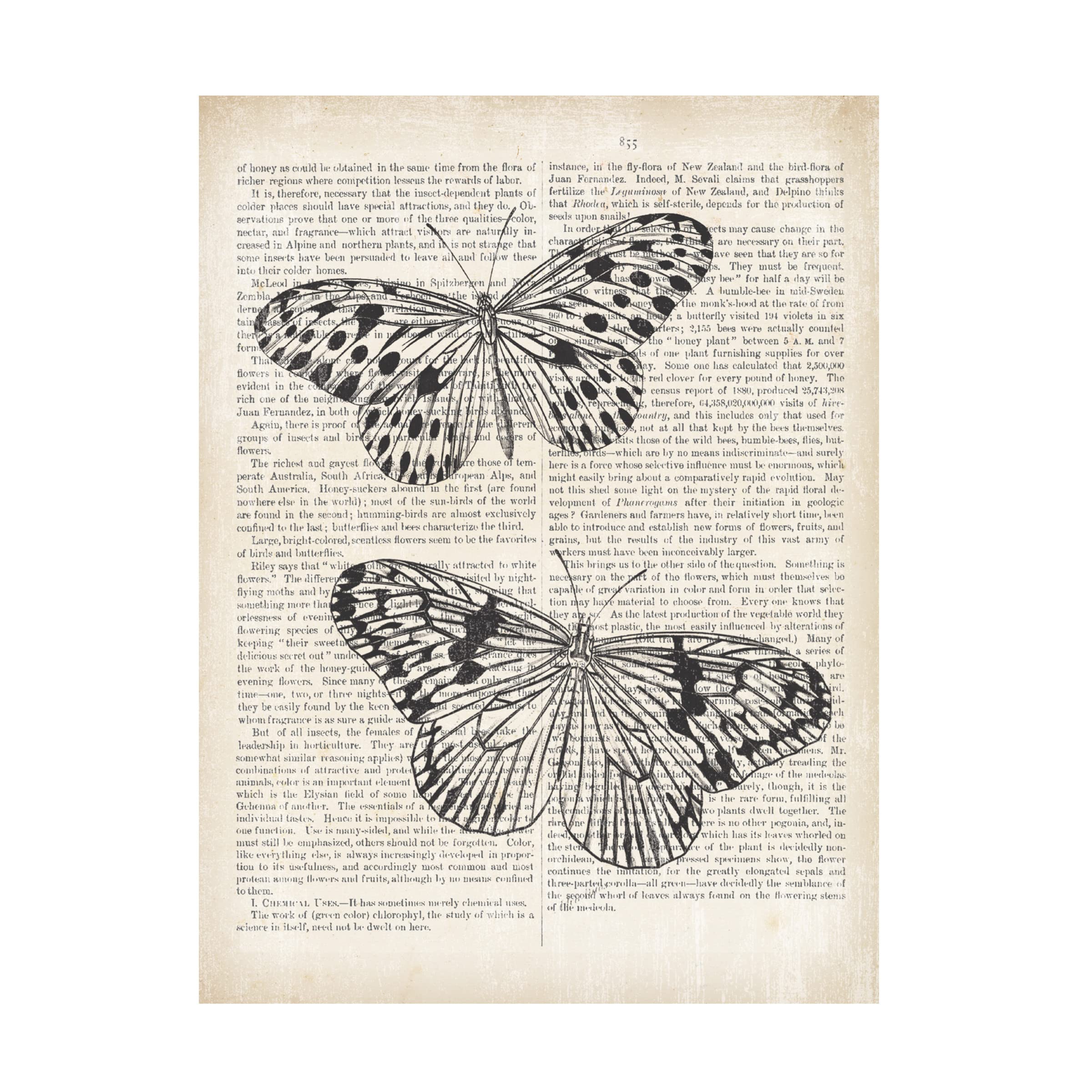 Vintage Butterflies on Newsprint Canvas Wall Art - Wild Apple Portfolio Framed Home Decor - Perfect for Living Room, Bedroom & Office Decor