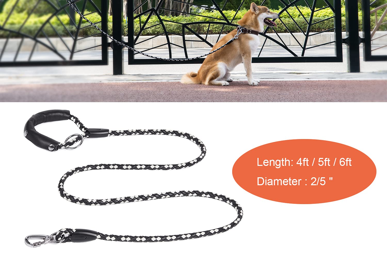 Premium Braided Leather Dog Leash - 4FT/5FT/6FT Heavy Duty Training Leash for Large, Medium & Small Dogs | Durable Walking & Running Leash for Pets (Black/White, 2/5