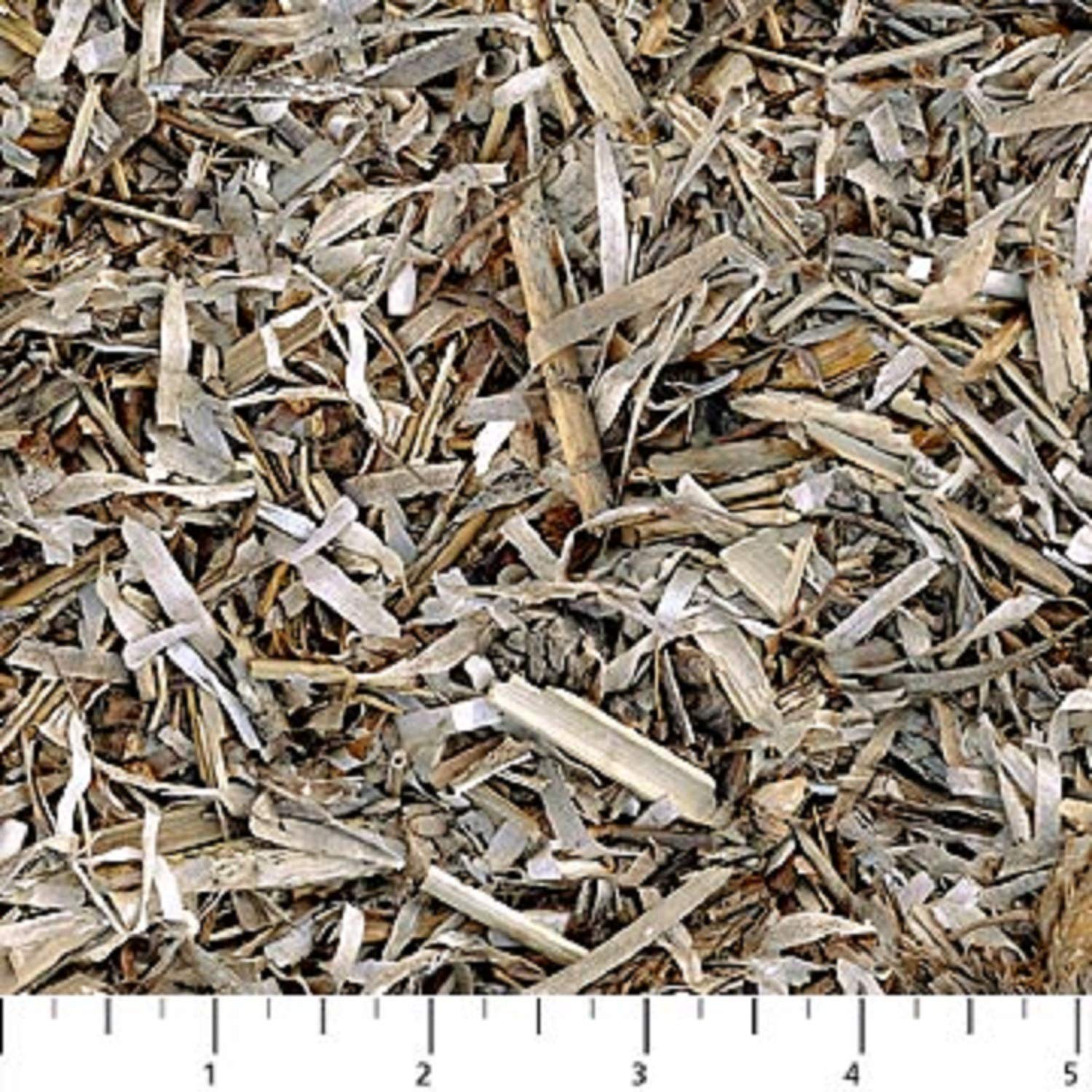 Deborah Edwards Naturescapes 100% Cotton Quilt Fabric by Northcott - 21401-35 Tan | Premium Quality Quilting Material for Bedding, Home Decor & DIY Craft Projects