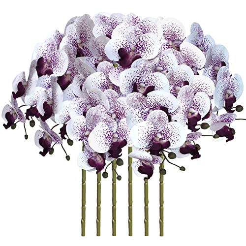 Purple Core