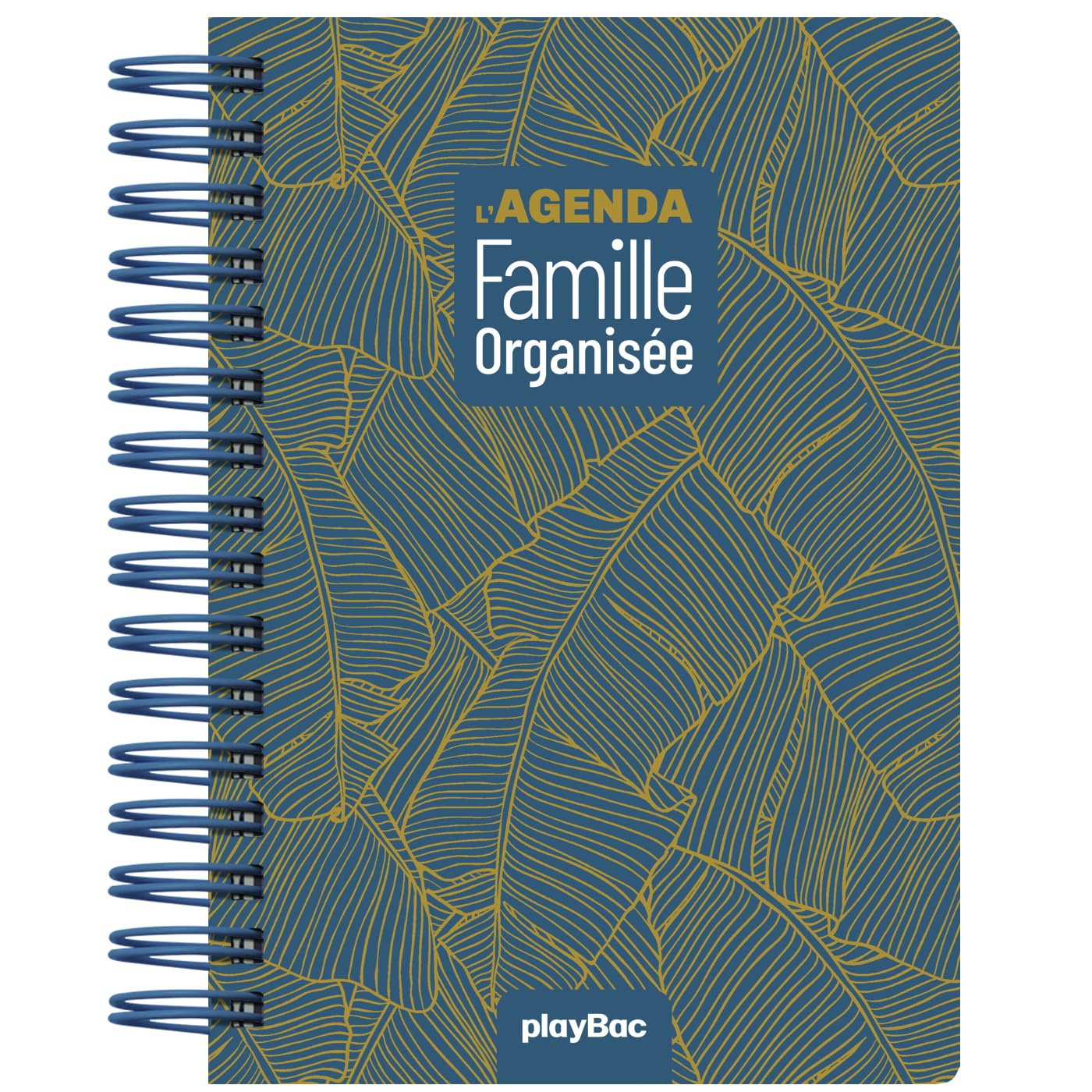 Family Organizer Planner 2025 - 16-Month Weekly & Monthly Calendar (September 2024 - December 2025) | Perfect for Busy Parents, Work-Life Balance & Home Management
