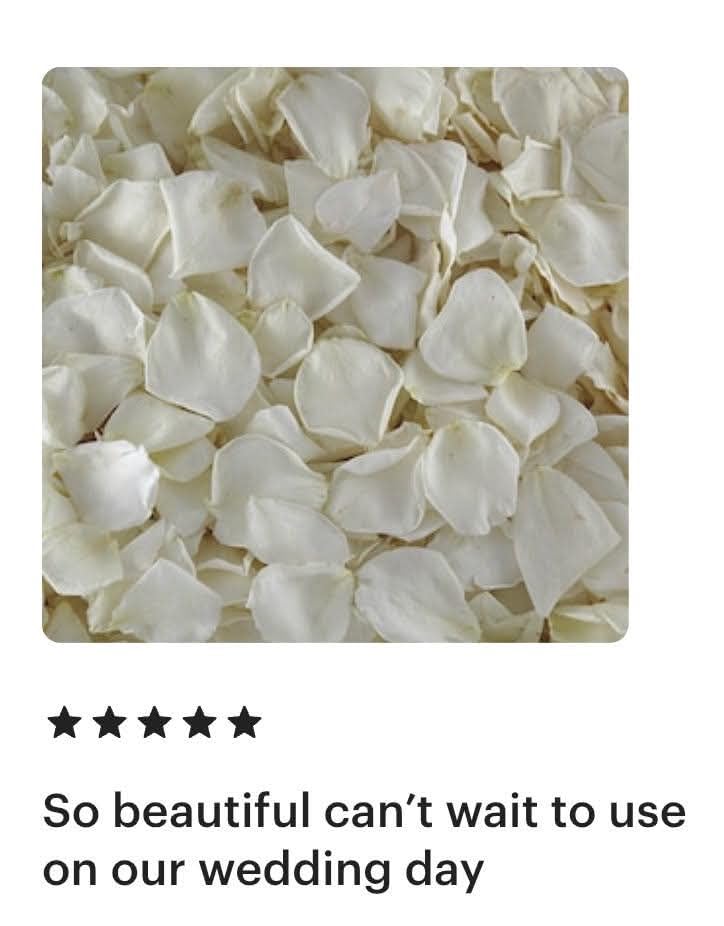 Premium Freeze-Dried Ivory Rose Petals - 1100 Count | Natural Wedding Decor, Aisle Scatter & Romantic Table Centerpieces | Flyboy Naturals