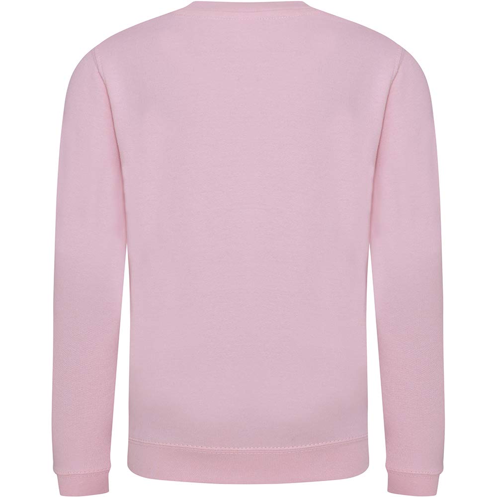 AWDis Kids Plain Crew Neck Sweatshirt - Soft Cotton Hooded Pullover for Boys & Girls - Perfect for School, Playdates & Outdoor Activities