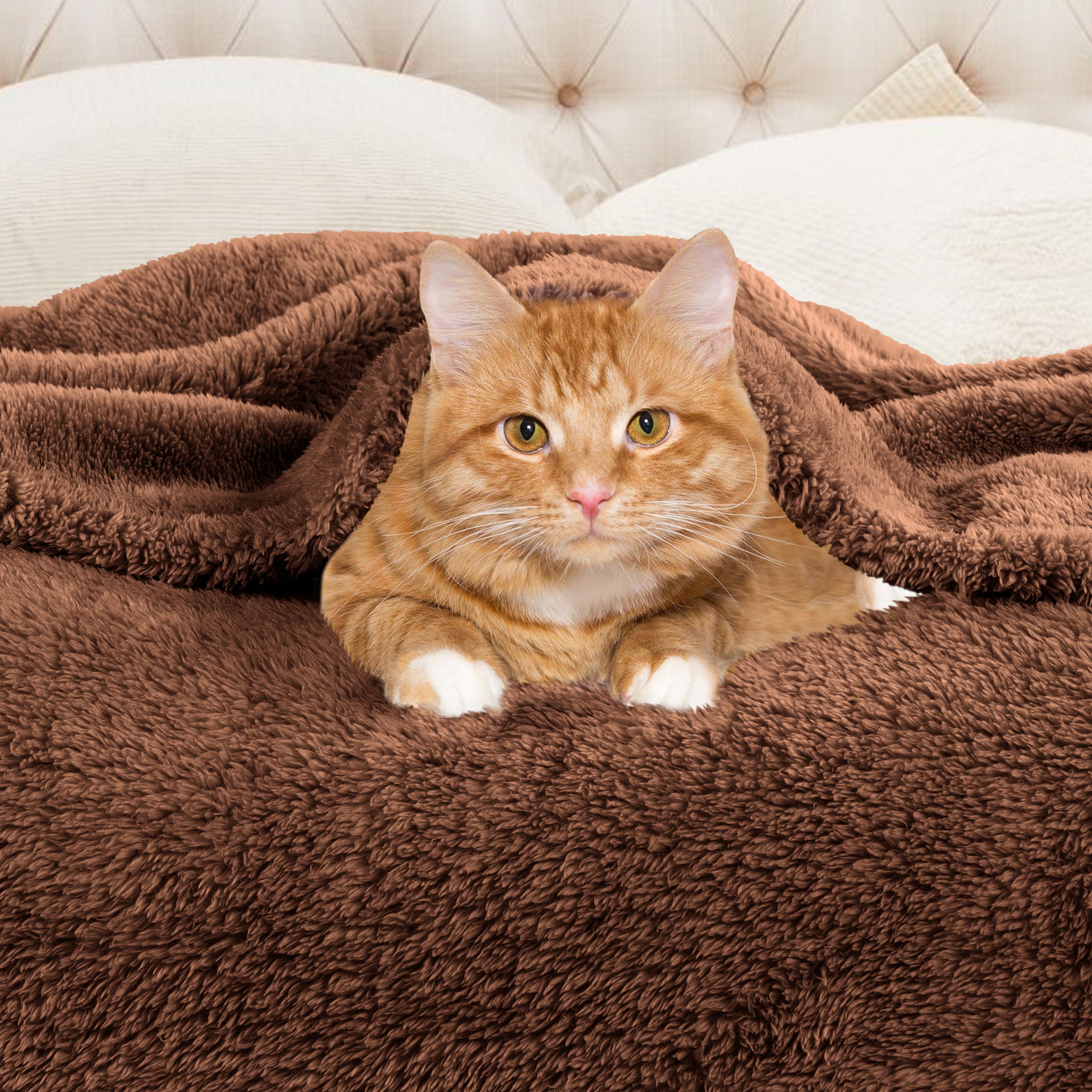 Classic Solid Fleece Plush Medium Weight Fluffy Soft Blanket - Cozy & Warm for Bed, Sofa, Travel & Gifts | Ultra-Soft Throw Blanket for All Seasons