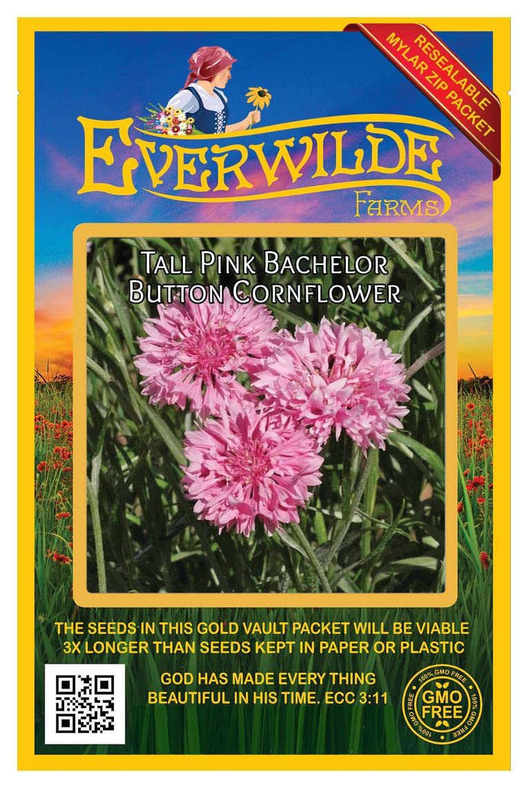 500 Tall Pink Cornflower Wildflower Seeds - Premium Gold Vault Jumbo Seed Packet by Everwilde Farms - Perfect for Home Gardens, Landscaping & Pollinator-Friendly Planting