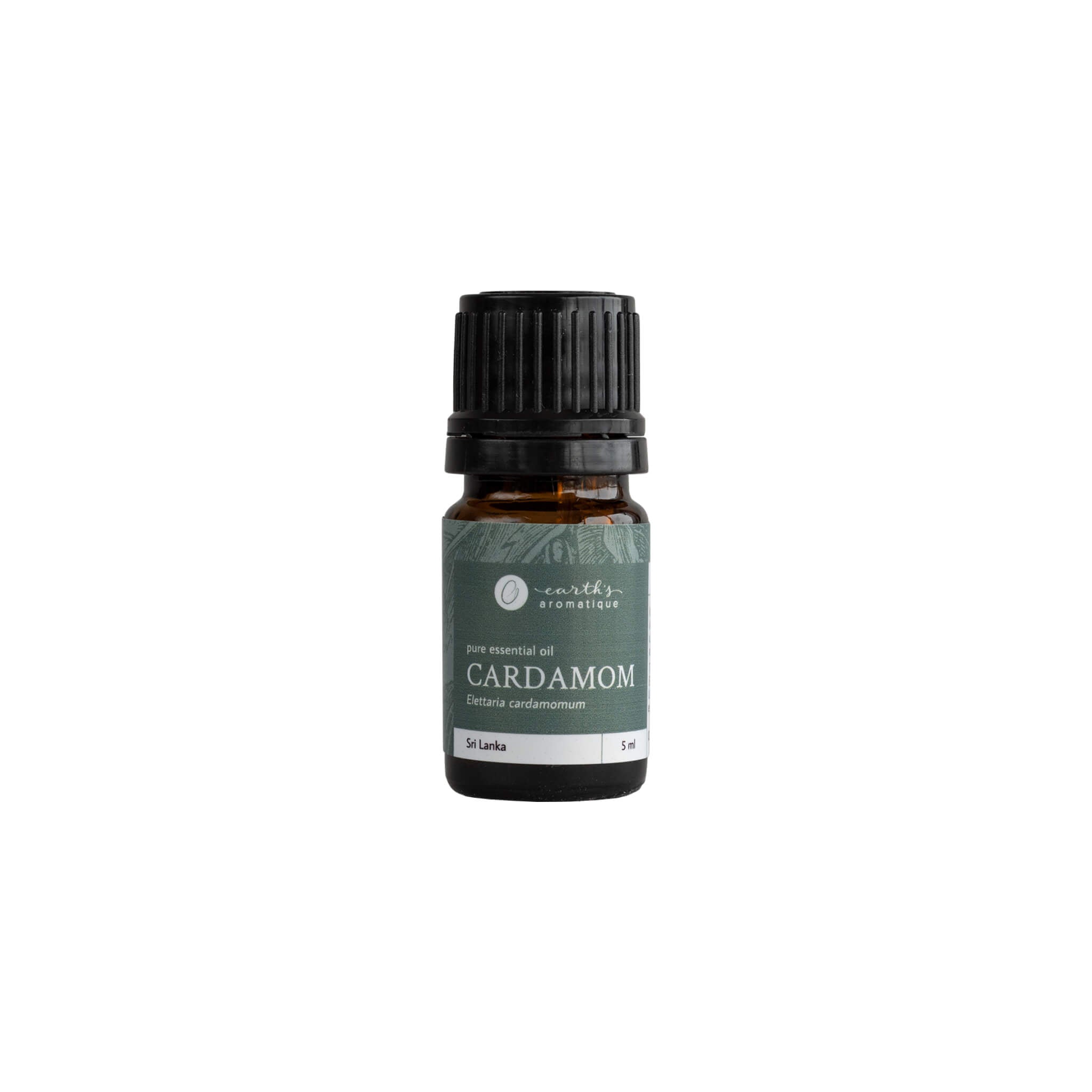 Pure Cardamom Essential Oil for Aromatherapy, Relaxation & Cooking – 100% Natural Therapeutic Grade Oil for Diffusers, Massage & DIY Recipes