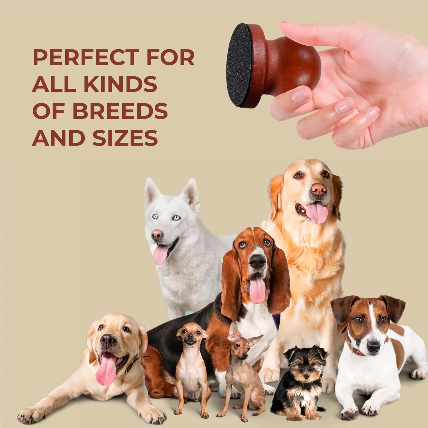 BEANPRECOY Dog Nail File with 8 Replaceable Sandpapers - Wooden Nail Scratch Board & Grinder for Dogs & Cats - Gentle Pet Nail Trimmer for Smooth Polishing - Perfect for Home Grooming & Pet Nail Care