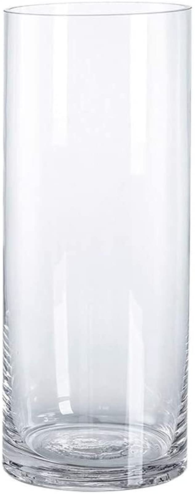 HAODAMAI Glass Vase - Transparent Flower Pot for Home Decor, Living Room Table Centerpiece, Water Bamboo Planter, Rich Garden Decor - Perfect for Indoor Plants, Floral Arrangements & Modern Home Styling