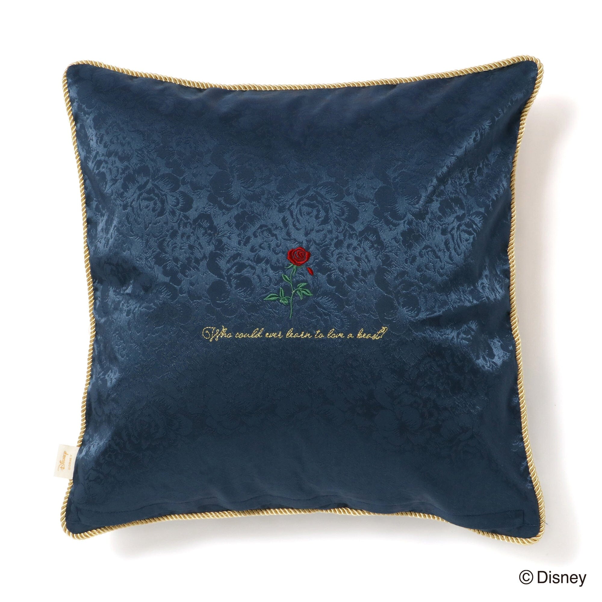 Disney Beauty and The Beast Magic of Chemistry Cushion Cover 18x18 Inch - Soft Decorative Pillow Case for Home, Bedroom, Sofa, and Gift Ideas