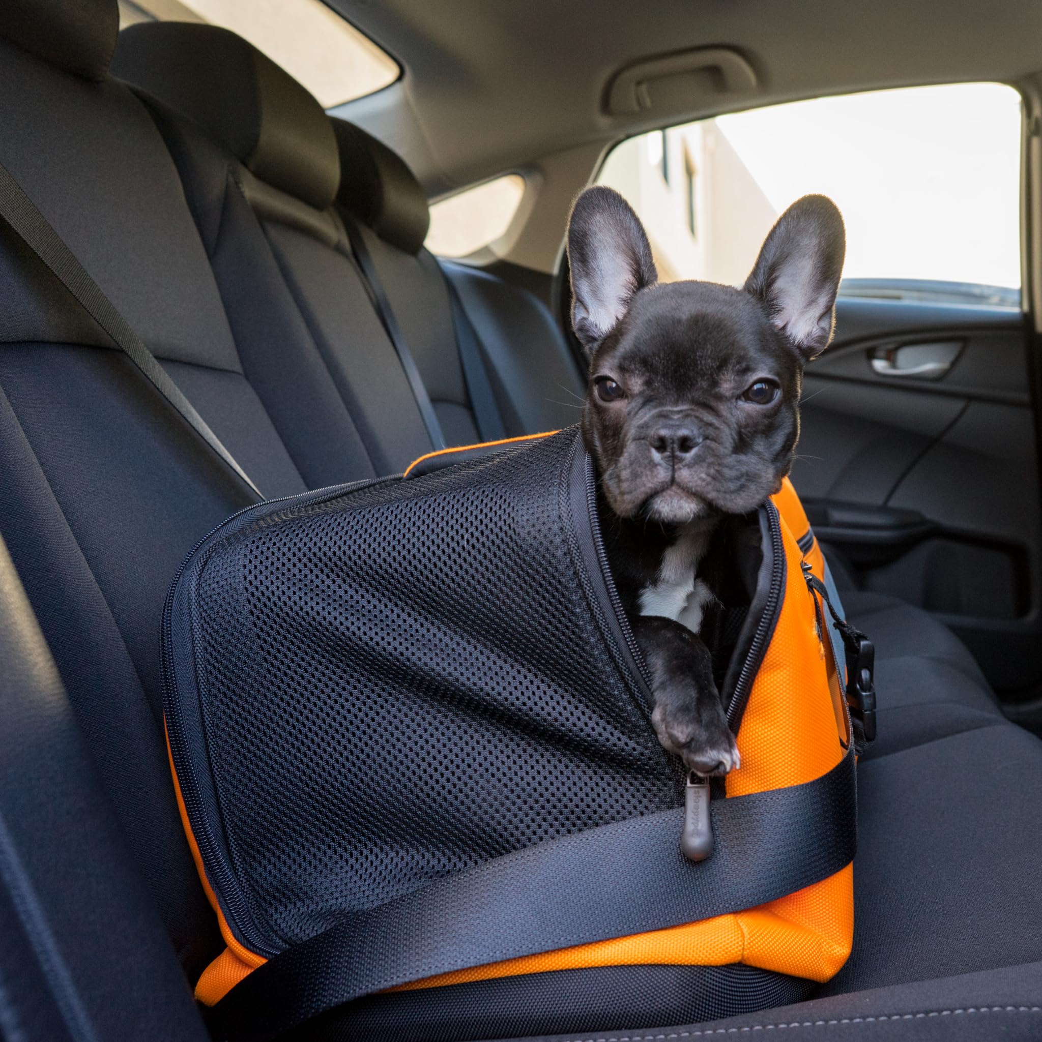 Sleepypod Air In-Cabin Pet Carrier - FAA Approved, Lightweight & Breathable for Small Dogs & Cats - Perfect for Air Travel, Road Trips & Vet Visits (Orange Dream)