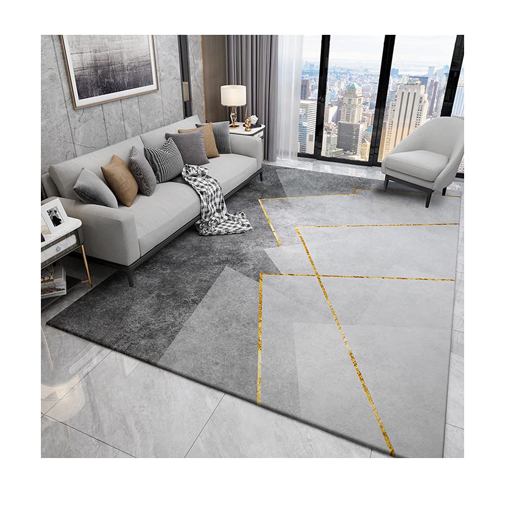SHNOSU Modern Abstract Geometric Area Rug 6' x 9' - Non-Shedding Grey Floor Carpet for Living Room, Bedroom, Dining Room - Soft & Durable Home Decor for Cozy Spaces