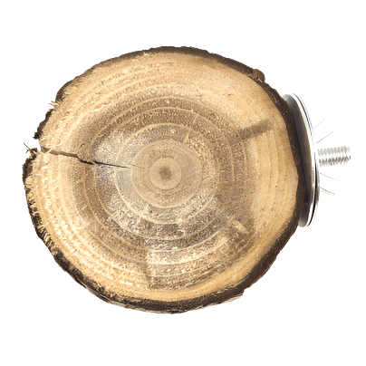Natural Moss Hollow Trunk Perch for Reptiles - Perfect for Terrariums, Vivariums & Reptile Habitats