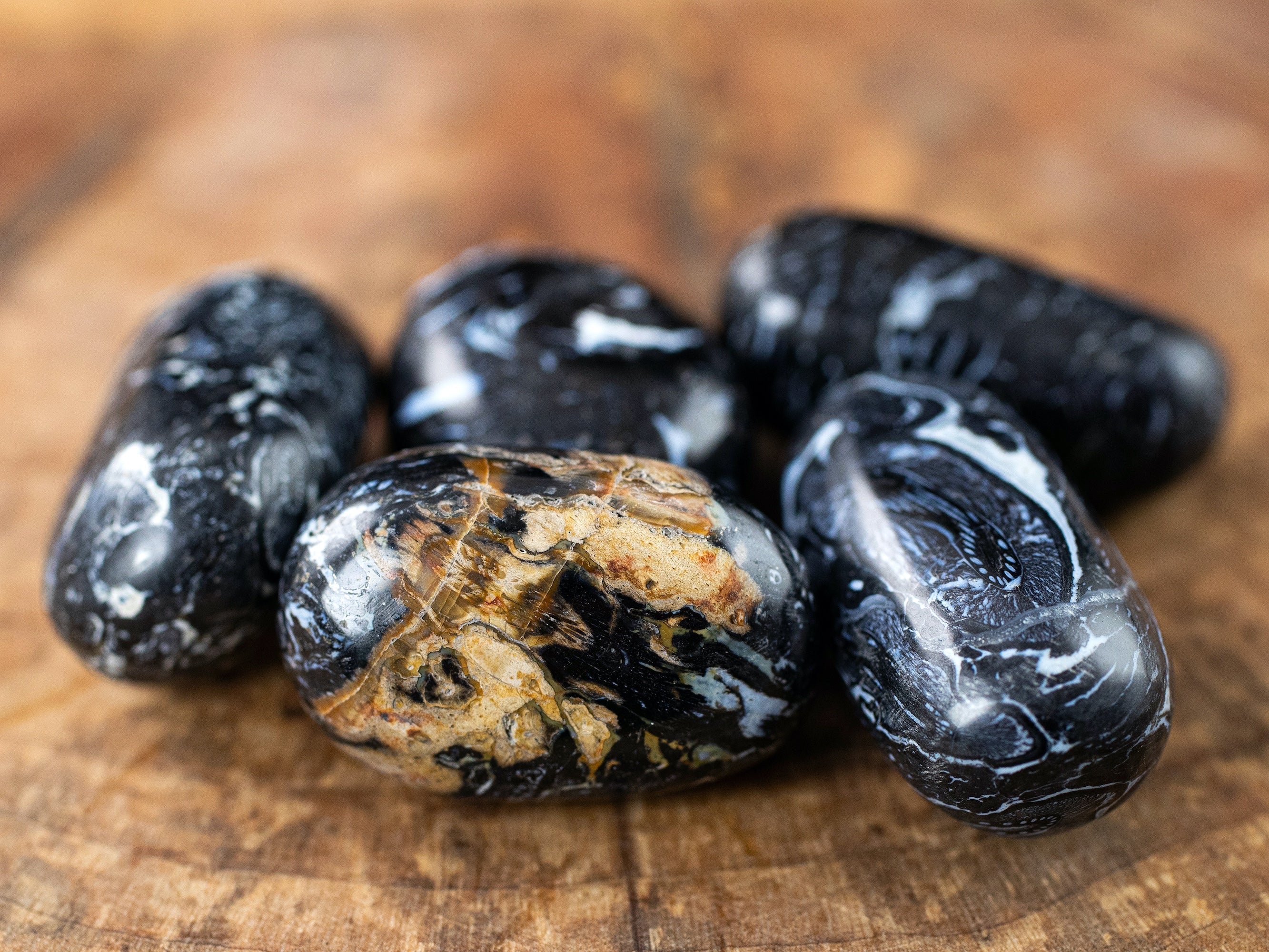 Fossilized Palm Wood Tumbled Stones - Natural Healing Crystals for Self Care, Meditation & Energy Balancing - E1745 | Perfect for Home Decor, Yoga Spaces & Spiritual Practices