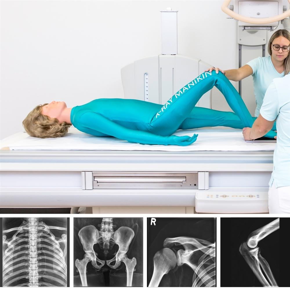 Full Body X-Ray Phantom with Real Human Skeleton Bones - High-Quality Medical Training Model for Radiology, Anatomy Studies & X-Ray Positioning Practice (Ideal for Medical Schools, Hospitals & Research Labs)