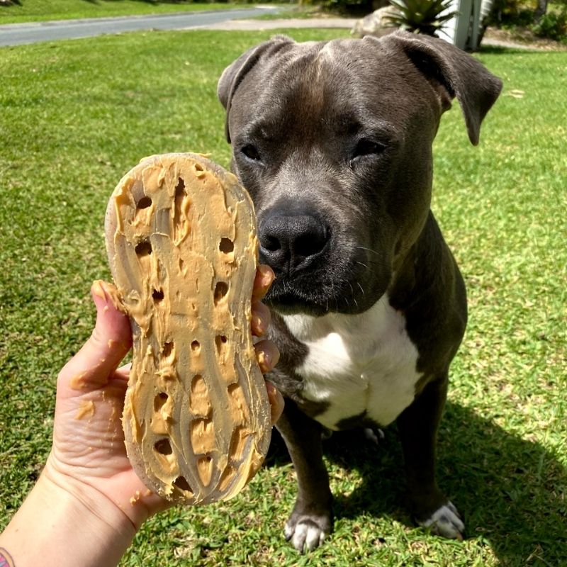 Sodapup Peanut Dog Toy - Durable Chew Toy for Aggressive Chewers - Interactive Treat Dispenser for Small & Large Dogs - Perfect for Playtime & Training Sessions