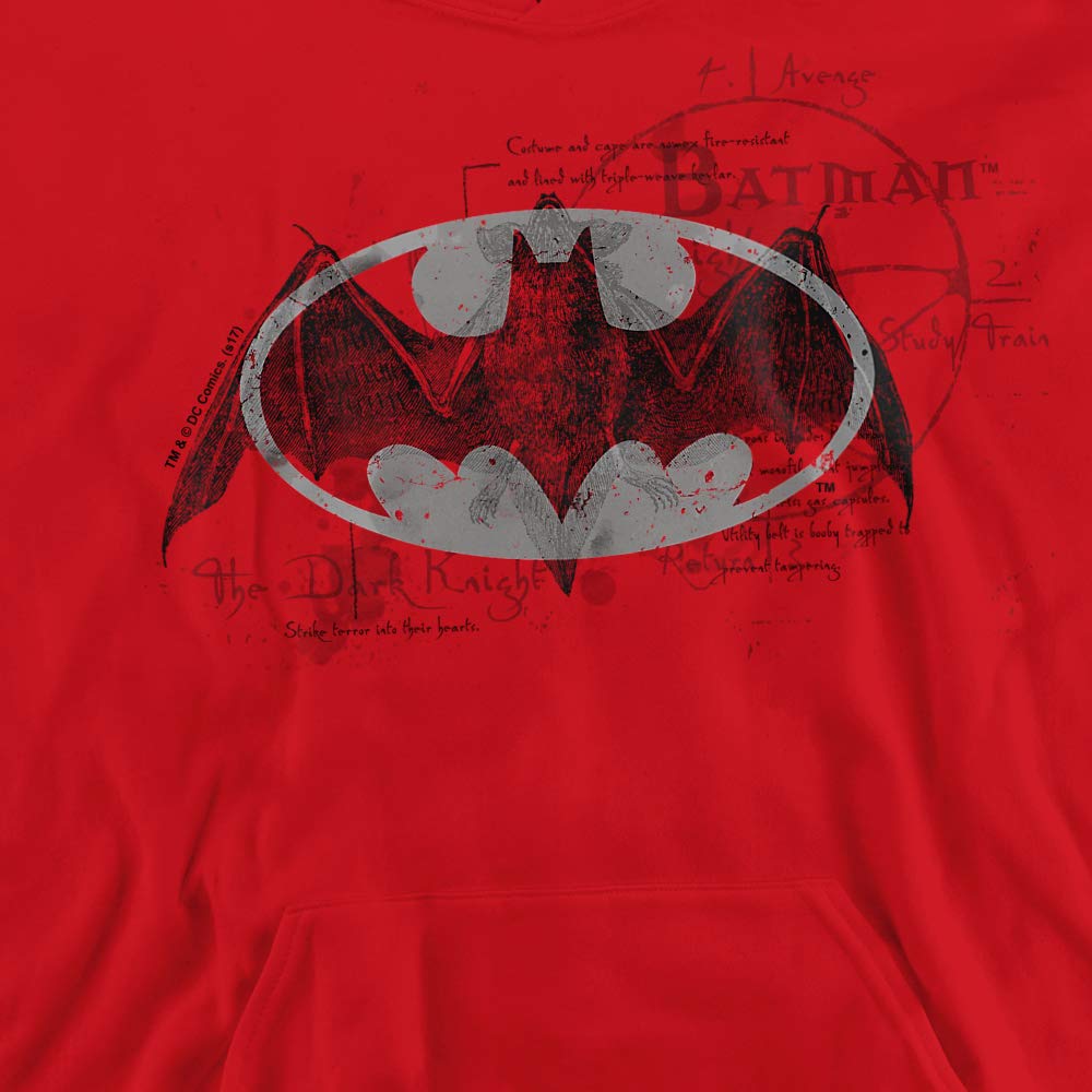 Trevco Batman Arcane Bat Logo Unisex Youth Pullover Hoodie - Soft & Comfortable for Kids & Teens - Perfect for Cosplay, Halloween, and Casual Wear