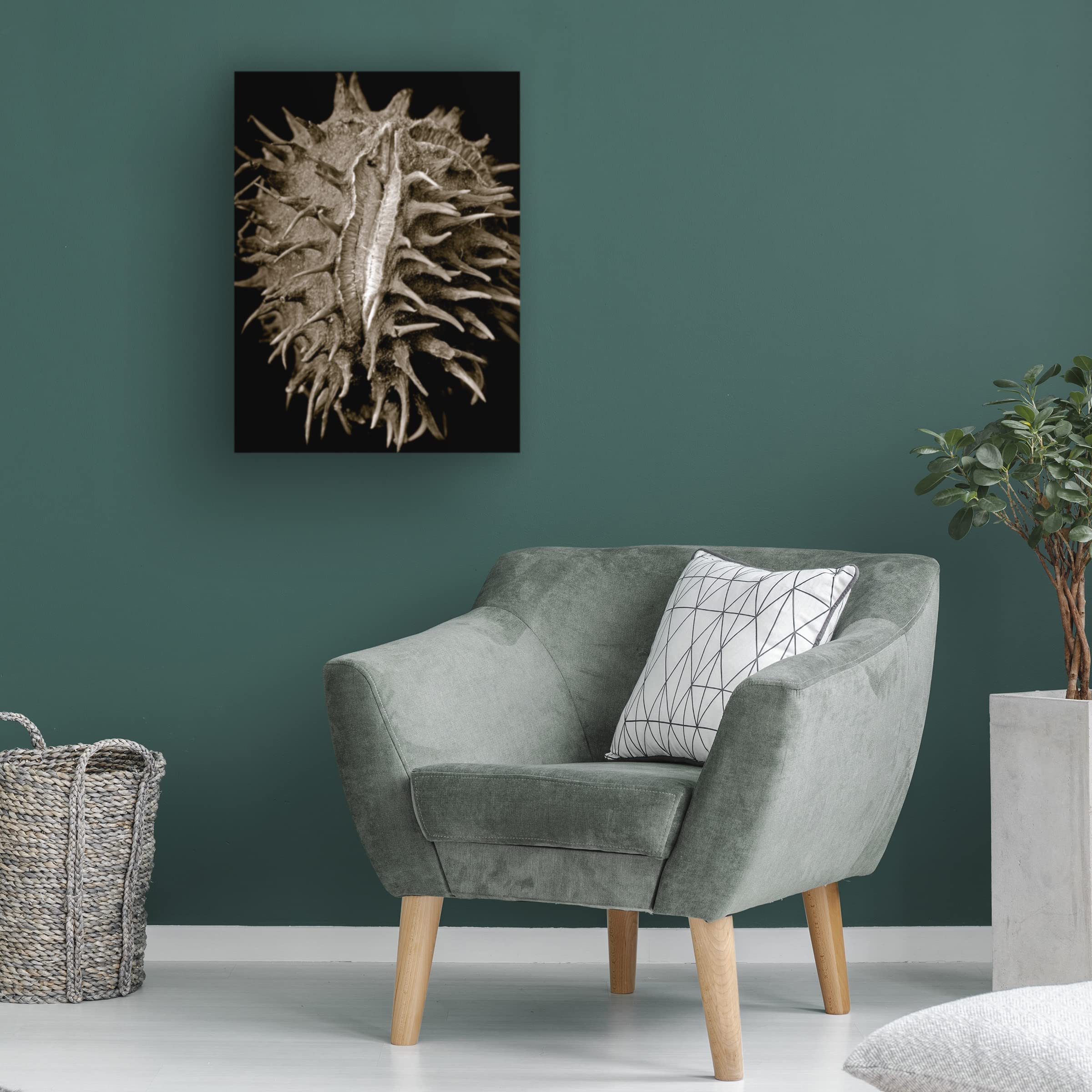 Clive Collie 'Chestnut' Canvas Wall Art Print - Modern Landscape Painting for Living Room, Bedroom & Office Decor | Trademark Fine Art Collection
