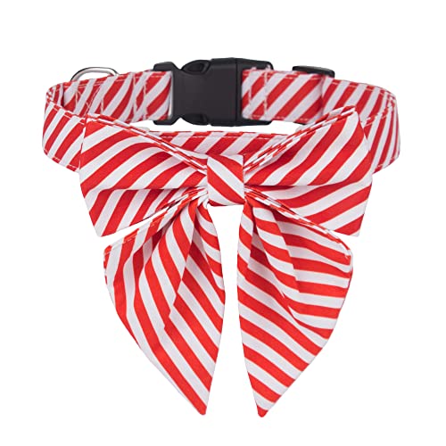 Red & White