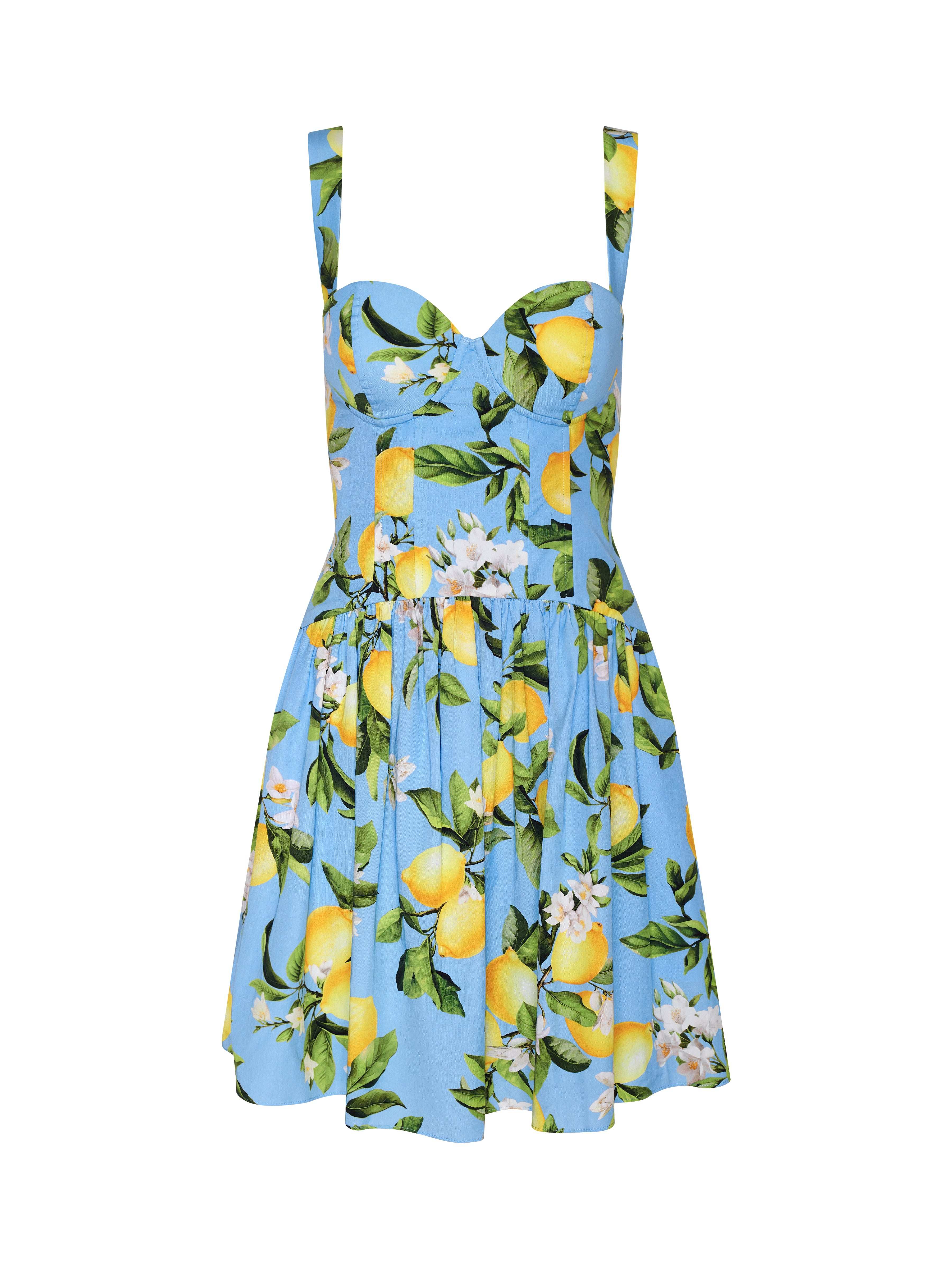 Jai Drop Waist Mini Dress - Flowy Summer Dress for Women, Casual Party Outfit, Perfect for Beach Vacations & Date Nights