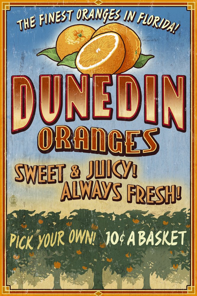 Vintage Orange Grove Florida Art Print - Dunedin 53018 Signed 24x36 Wall Decor Poster | Home & Office Decor, Gift for Florida Lovers