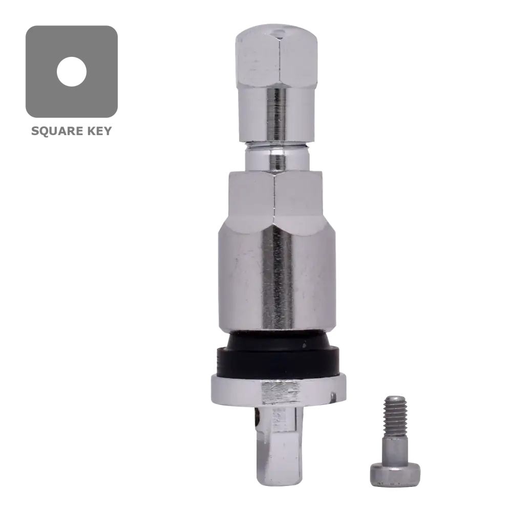 Dill VS925C TPMS Chrome Valve Stem Service Kit - Compatible with GM, Ford, Chrysler, Dodge, Jeep & Subaru Vehicles - Perfect for Tire Pressure Monitoring System Maintenance & Repair
