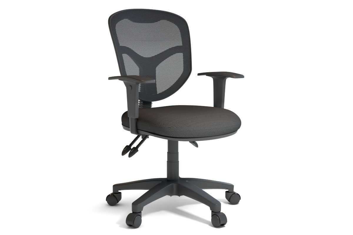 Plover Ergonomic Office Chair with Breathable Mesh Back - Adjustable Lumbar Support & Tilt Function for Home & Office Workspaces