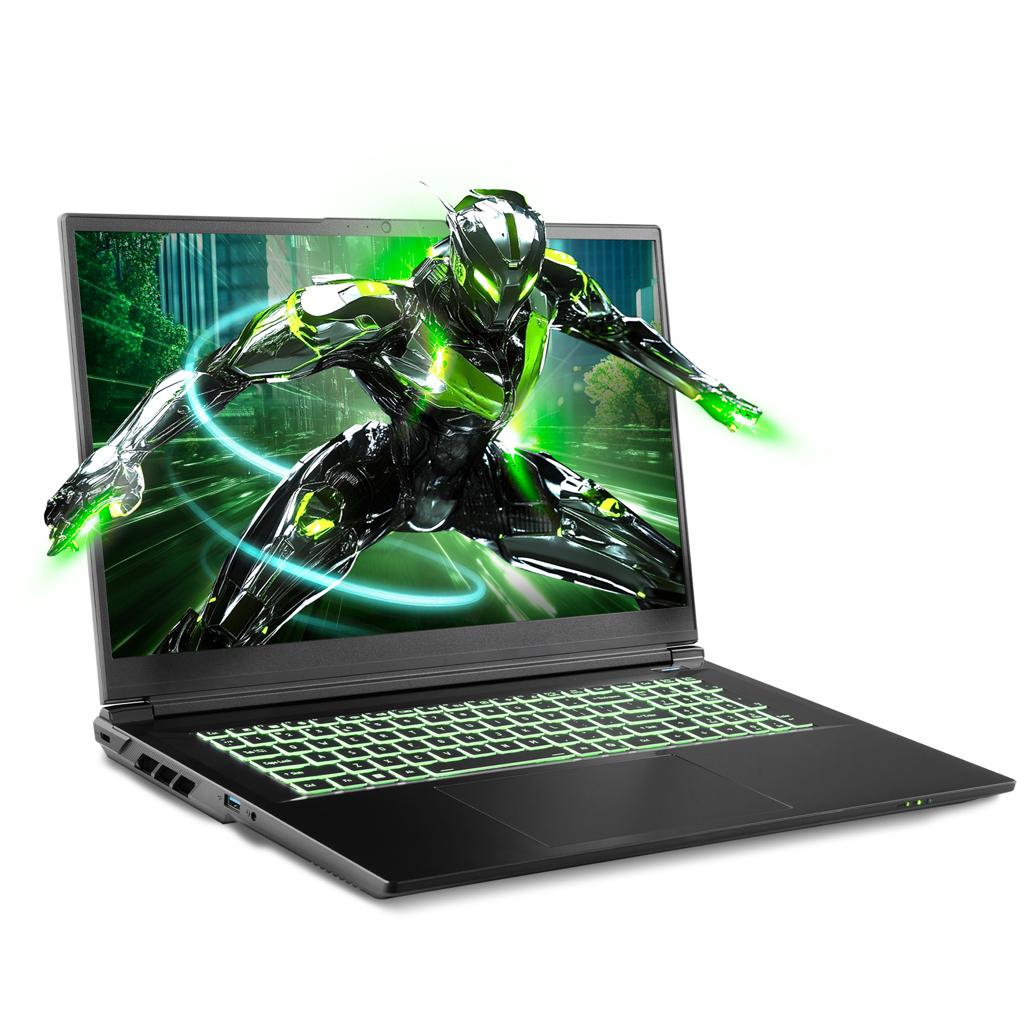 SAGER NP7571N (Clevo V370WNNQ) 17.3