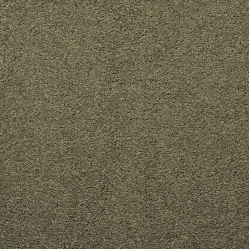 Bayleaf 551