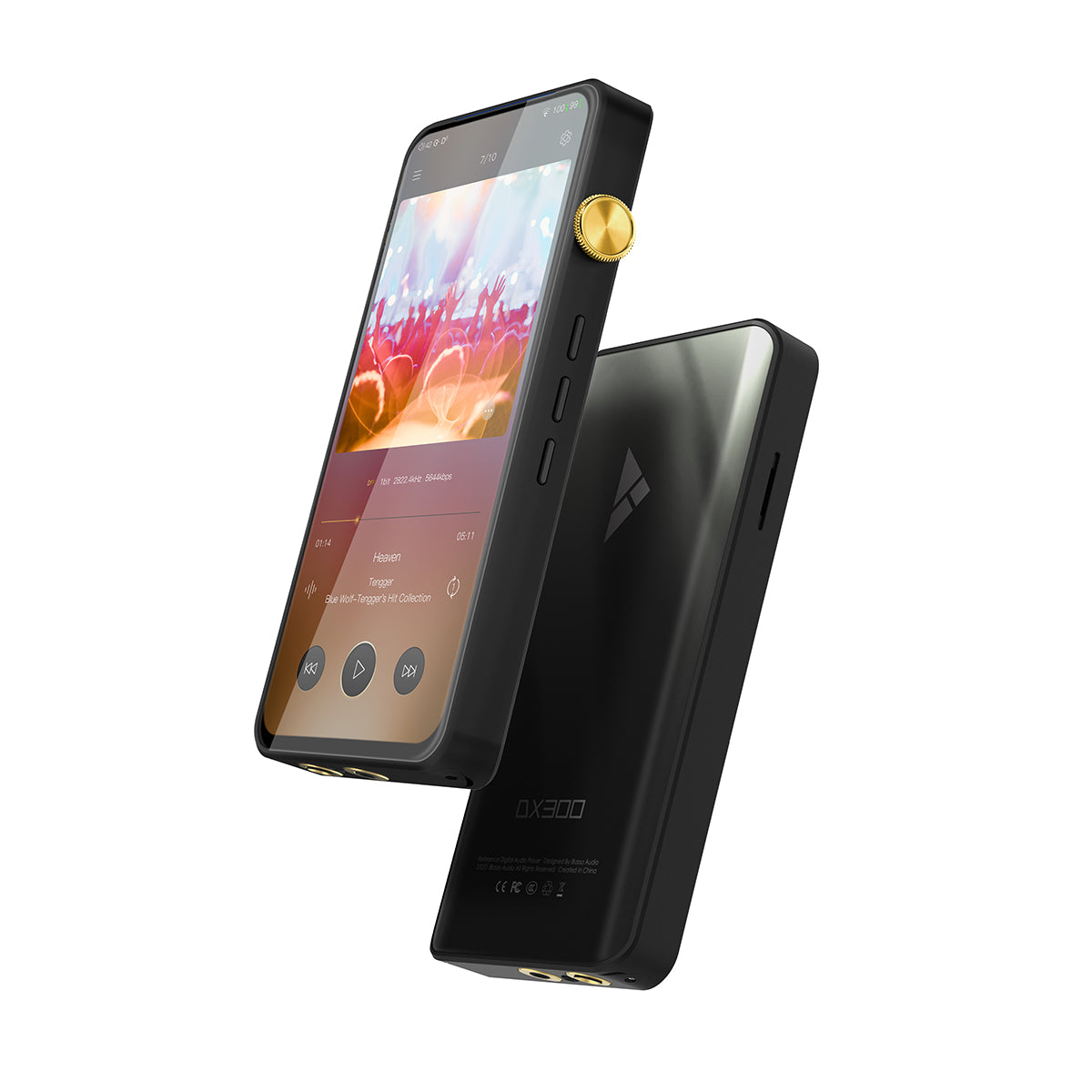 iBasso DX300 High Performance Digital Audio Player with Dual DAC, 6.5