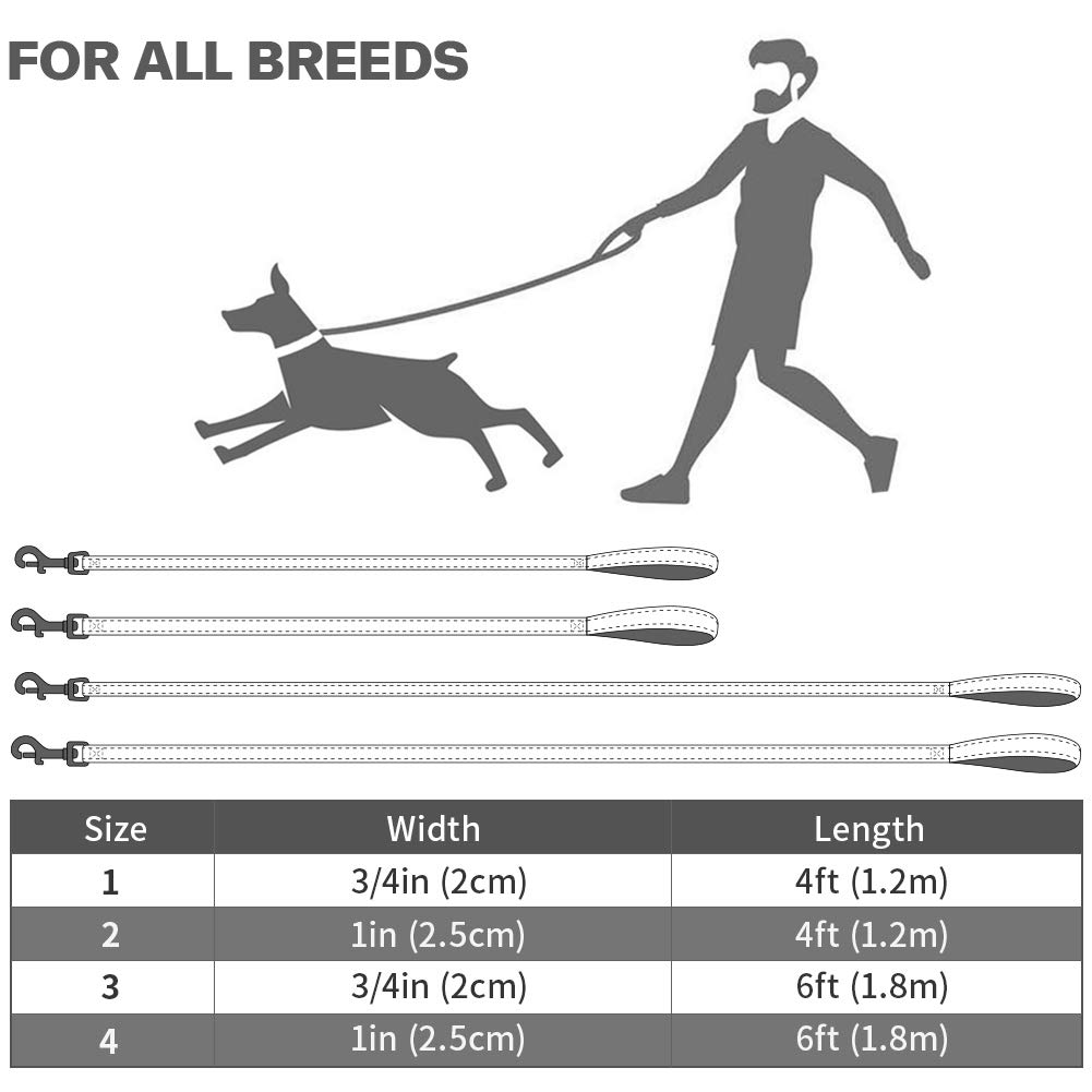 Premium Reflective Dog Leash for Medium & Large Breeds (20-150 lbs) - 4ft Neoprene-Padded Handle & Double-Sided Safety Design - Durable 1-Inch Wide Purple Leash for Walking, Running & Nighttime Visibility