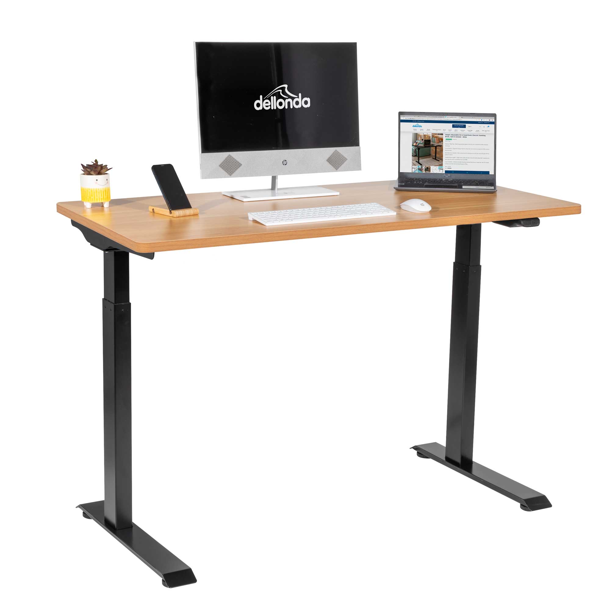 Single Motor Height Adjustable Sit Stand Desk - 47.2