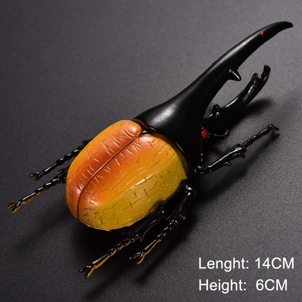 Realistic Beetle Model Toys - Pack of 6 Lifelike Insect Figures for Science Education & Kids Learning | Halloween Party Favors, Classroom Decor & Nature Exploration (5.5 Inch)